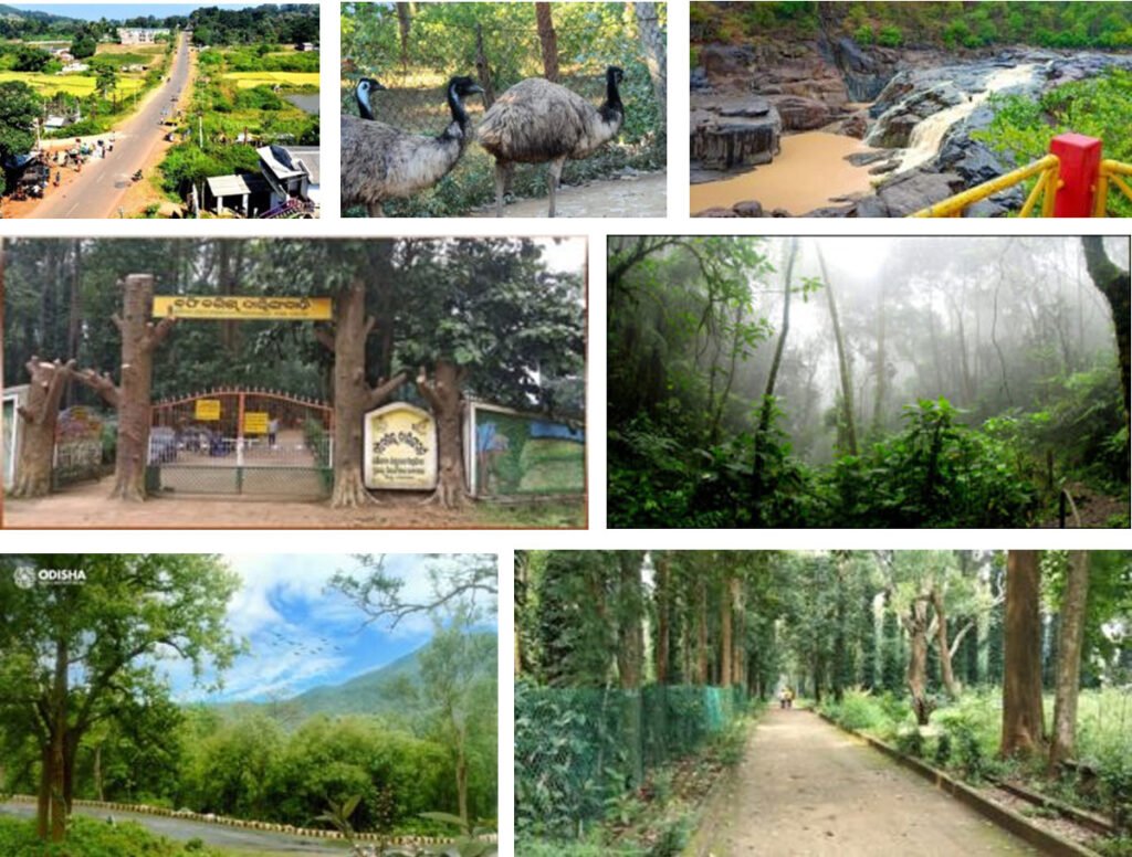 Darinbadi gallery images